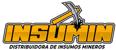 insuminmx.com